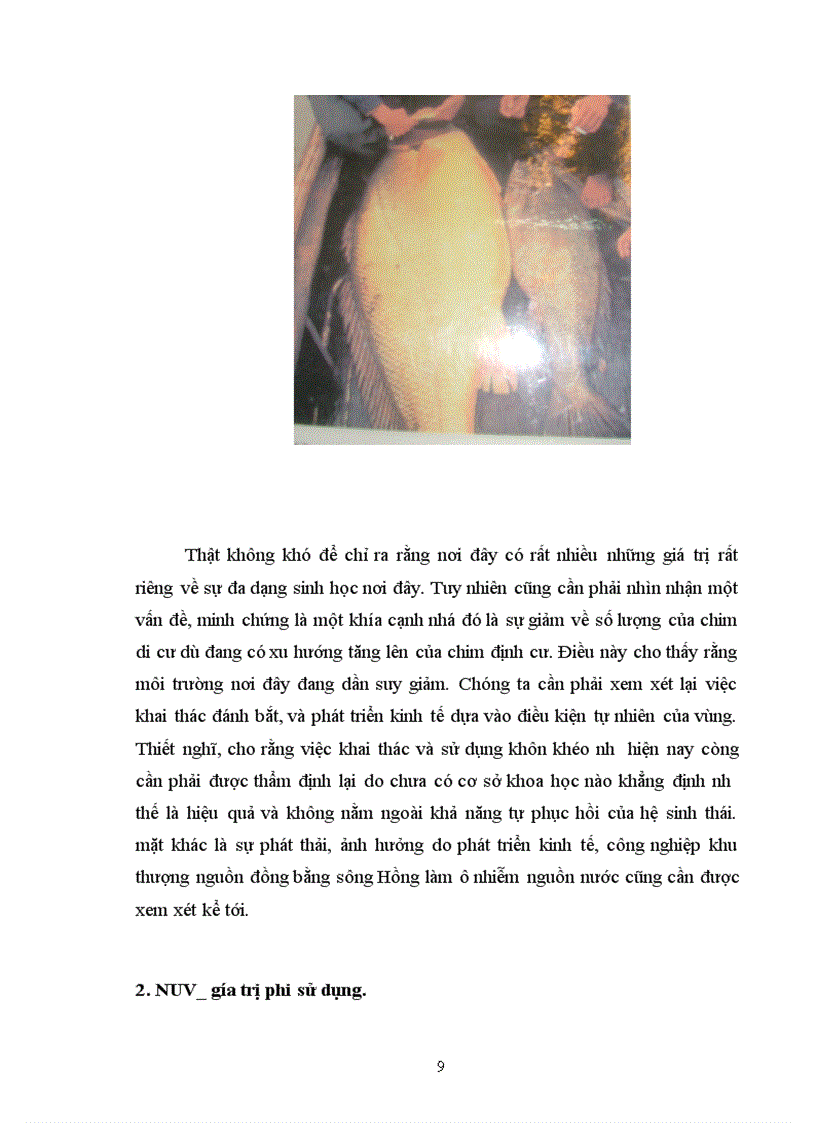 image for page Tổng giá trị kinh tế của khu rừng ngập mặn