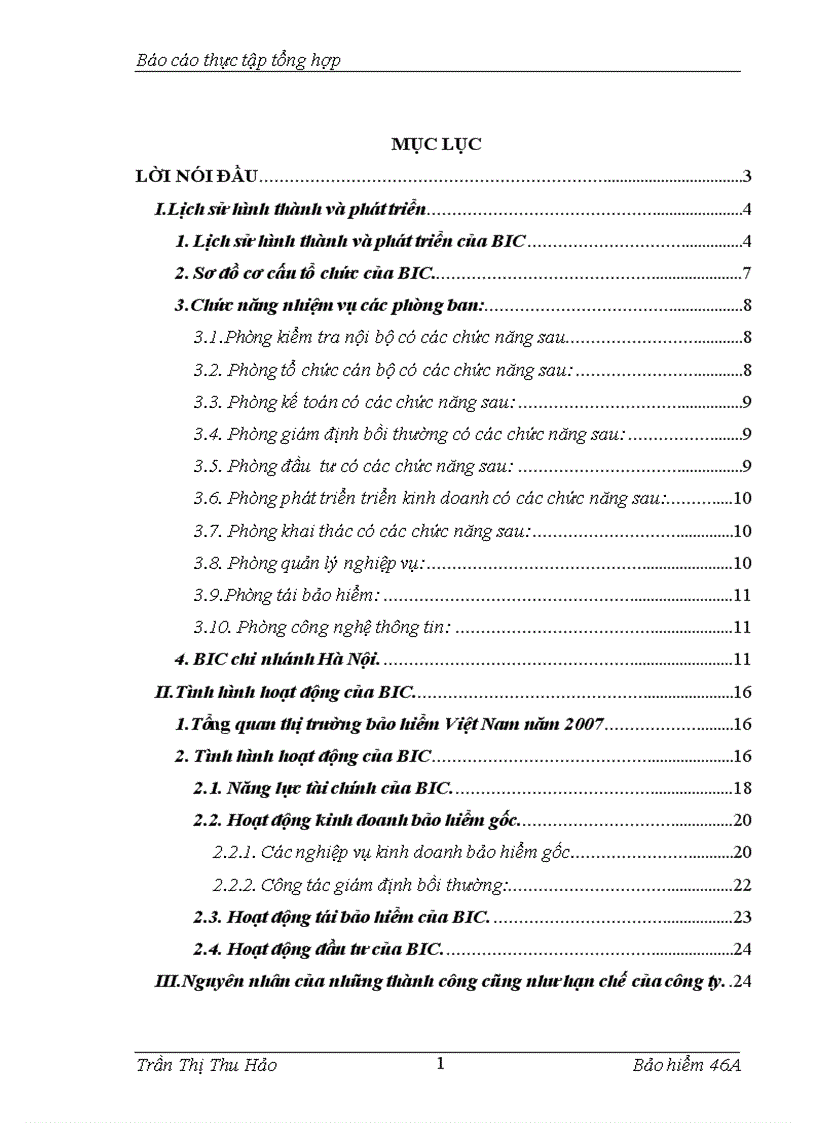 image for page Phương hướng phát triển của BIC trong thời gian tới.