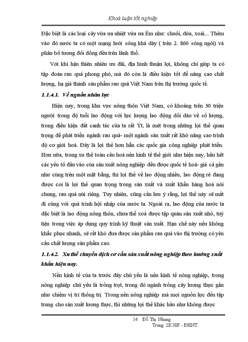 image for page Thực trạng xuất khẩu rau quả của Việt Nam trong những năm qua