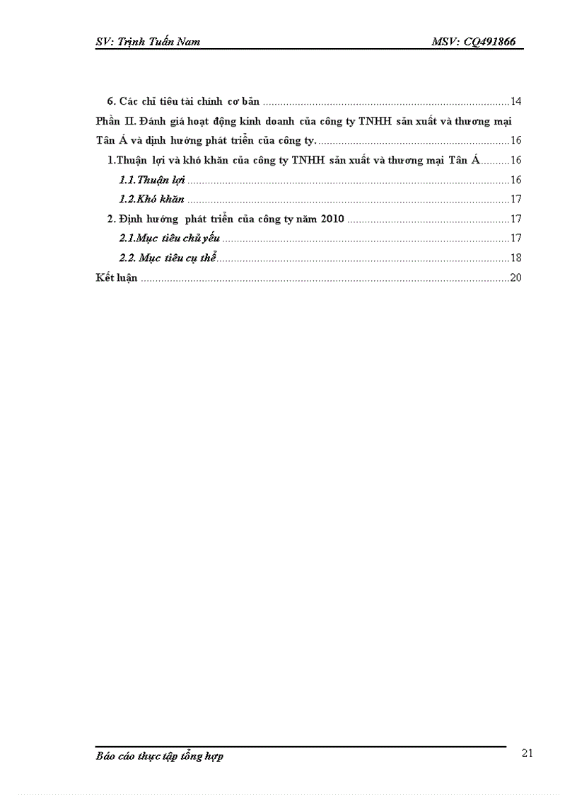 image for page Đánh giá hoạt động kinh doanh của công ty tnhh sản xuất và thương mại tân á và dịnh hướng phát triển của công ty