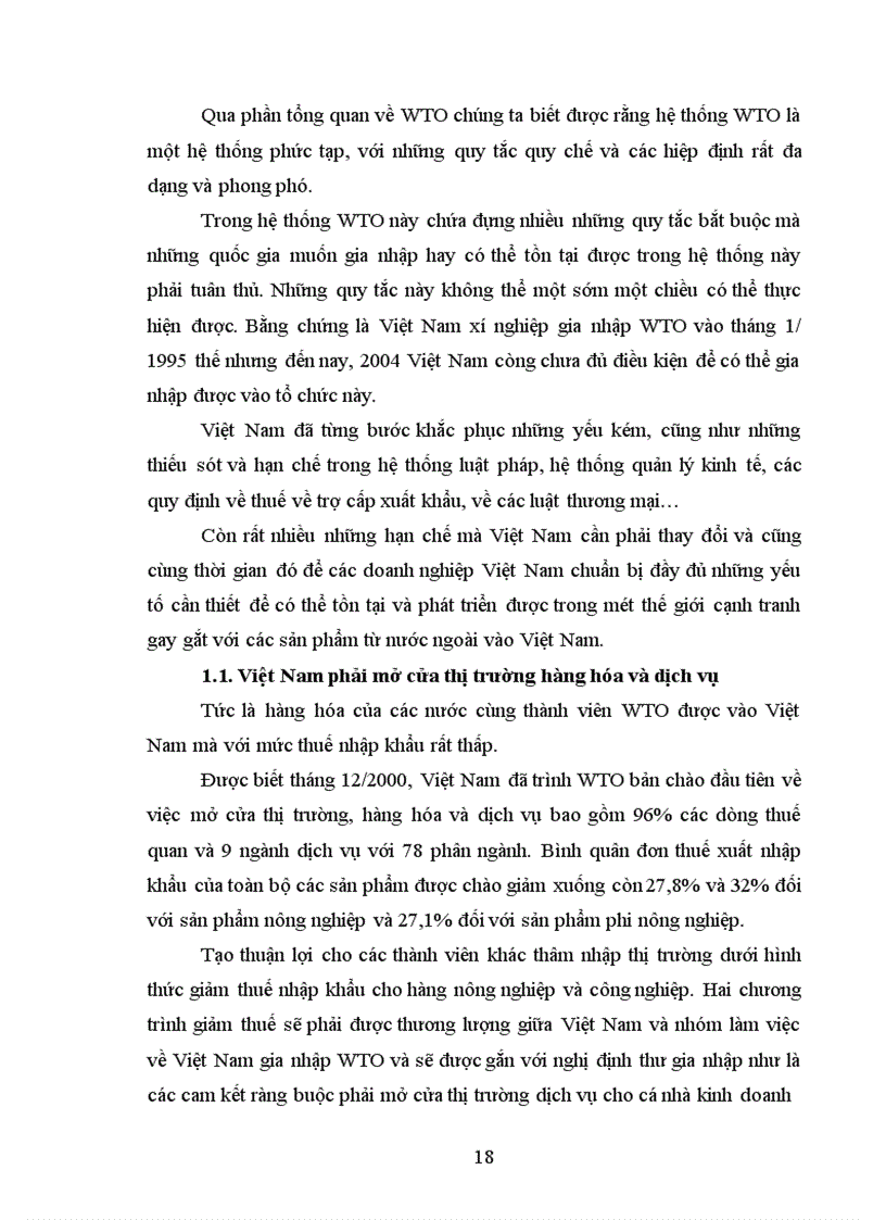 image for page WTO và những vấn đề Việt Nam cần giải quyết để trở thành thành viên của WTO