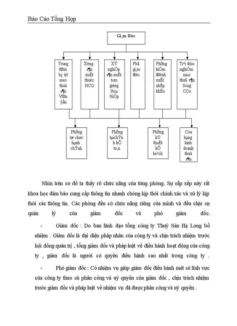 image for page Công tác hạch toán kế toán tại Công ty dịch vụ nuôi trồng thuỷ sản trung ương 1