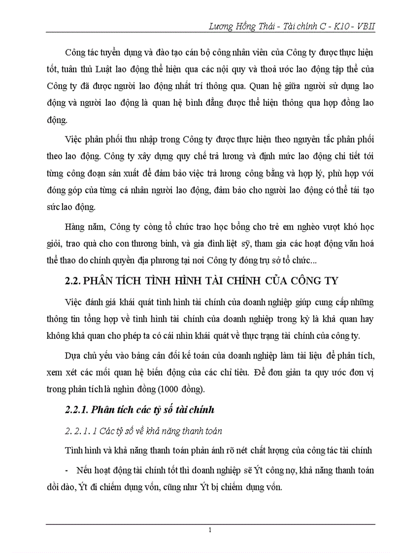 image for page Phân tích tình hình tài chính Công ty cổ phần Sao Việt 1