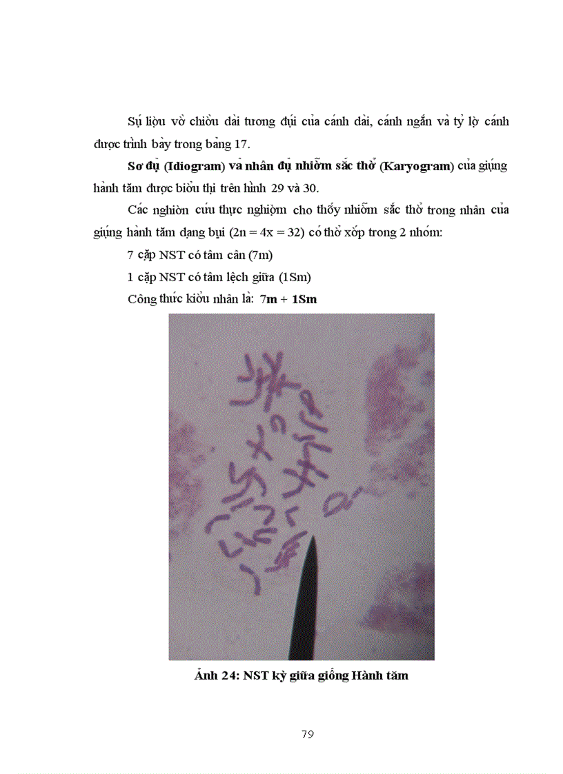 image for page Nghiên cứu biê n di kiểu nhân ở các giống hành địa phương Miền Bắc