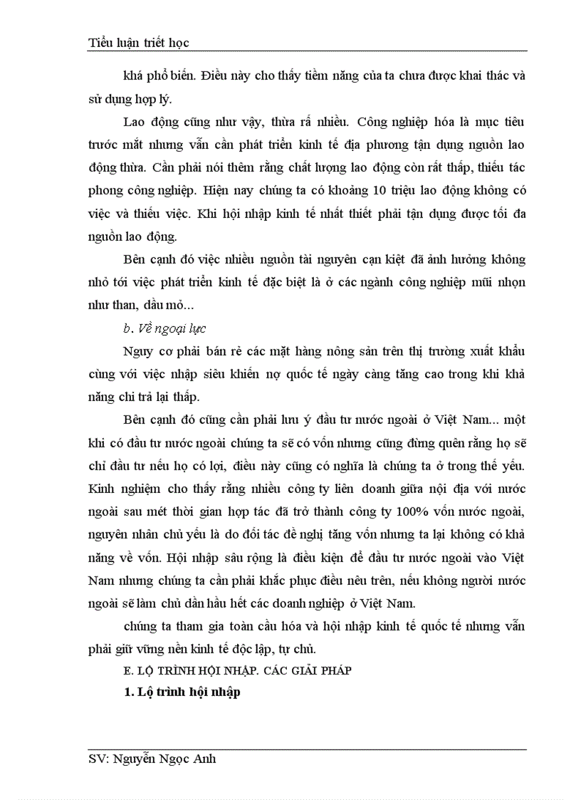 image for page khả năng và hiện thực của kinh tế Việt Nam khi hội nhập