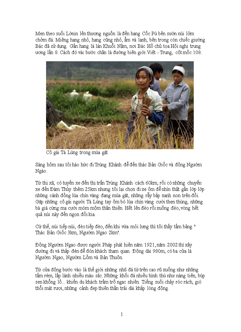 image for page Tiểu luận