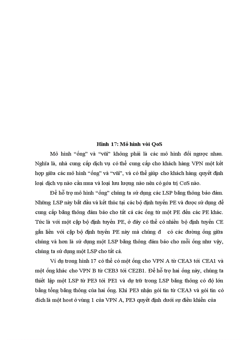 image for page Ứng dụng mpls trong mạng riêng ảo vpn