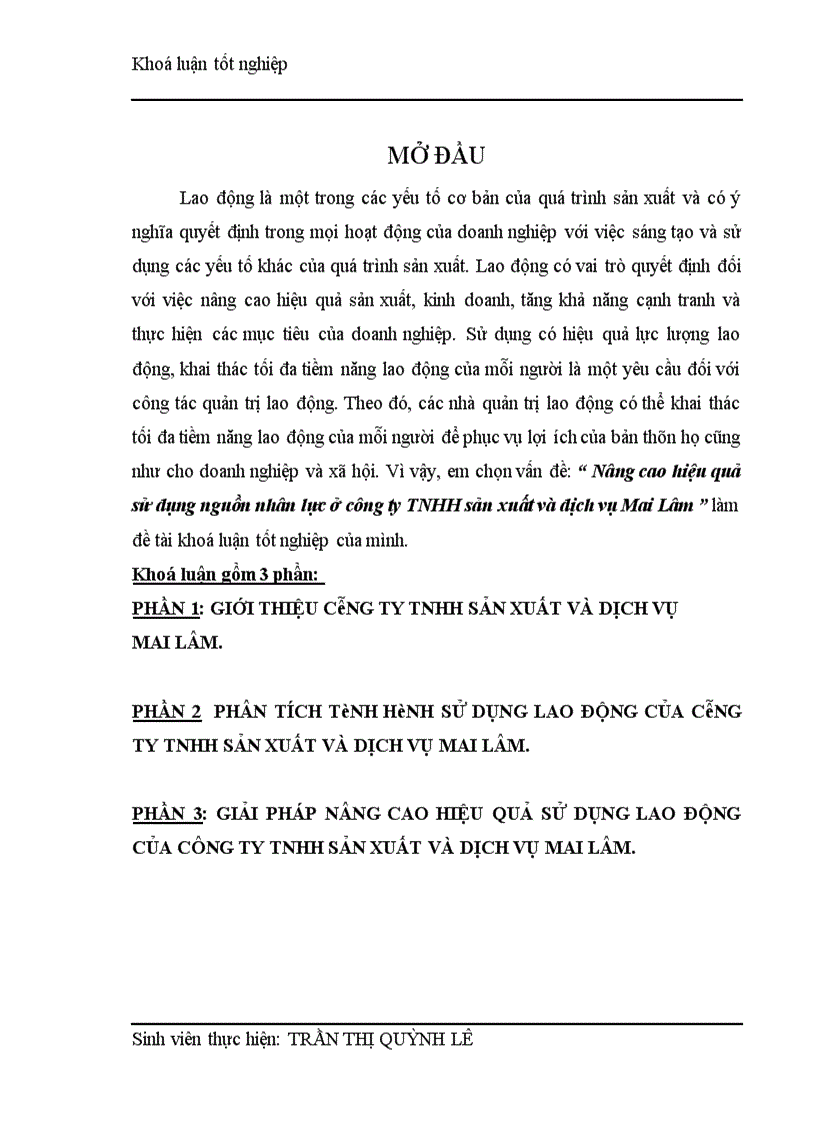 image for page Nâng cao hiệu quả sử dụng nguồn nhân lực ở công ty TNHH sản xuất và dịch vụ Mai Lâm 1