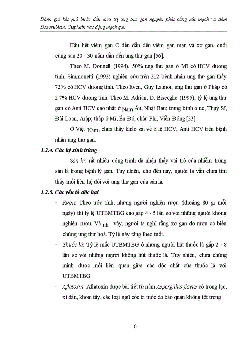 image for page Đánh giá kết quả bước đầu điều trị ung thư gan nguyên phát bằng nút mạch và tiêm Doxorubicin Cisplatin vào động mạch gan 1