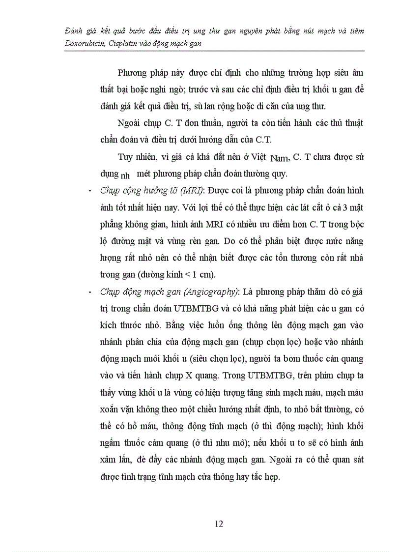 image for page Đánh giá kết quả bước đầu điều trị ung thư gan nguyên phát bằng nút mạch và tiêm Doxorubicin Cisplatin vào động mạch gan 1