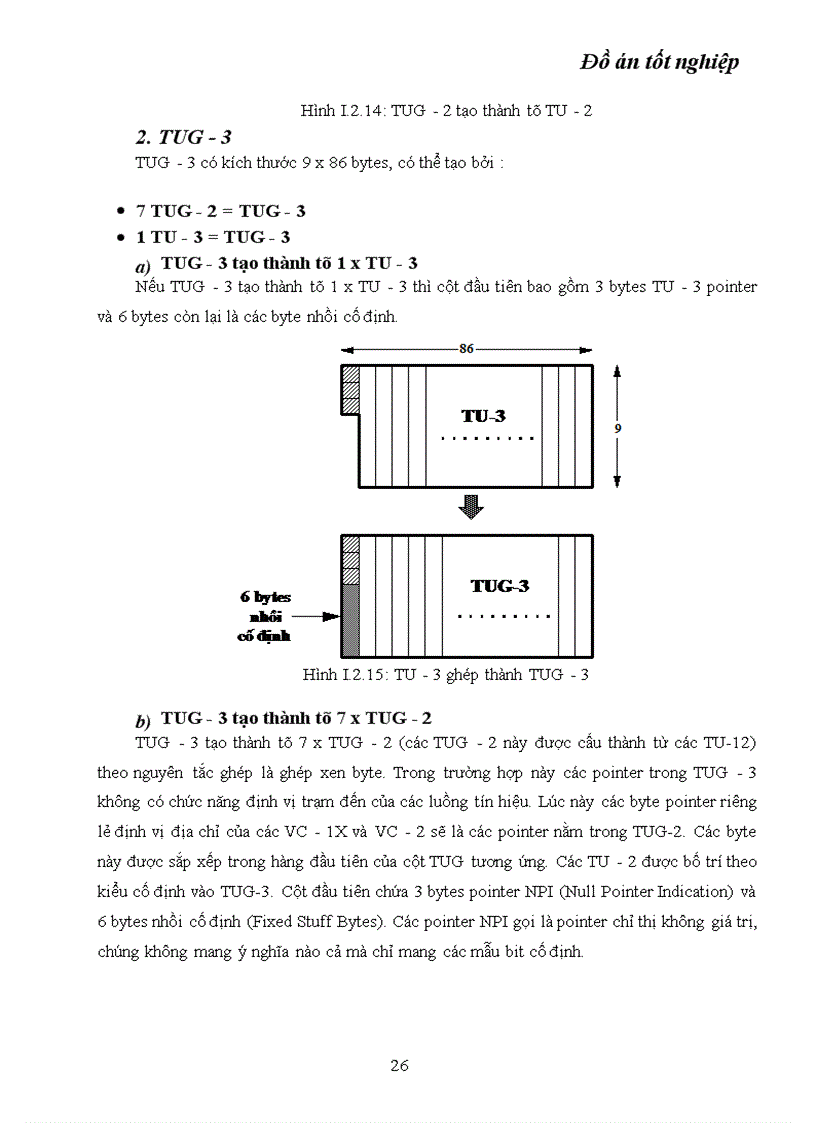 image for page Kỹ thuật truyền dẫn đồng bộ SDH ứng dụng kỹ thuật truyền dẫn SDH vào mạng cáp quang Hà Nội