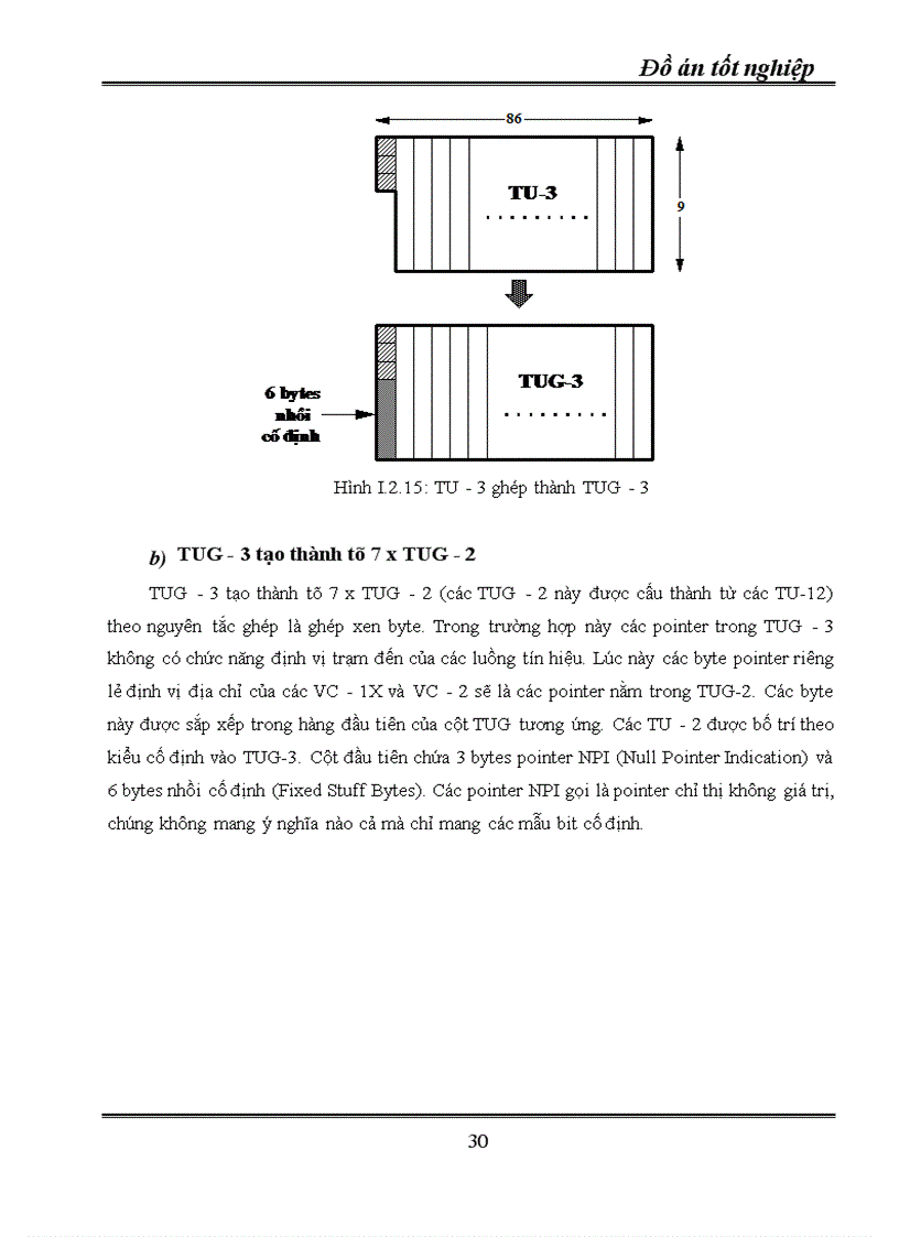 image for page Kỹ thuật truyền dẫn đồng bộ SDH ứng dụng kỹ thuật truyền dẫn SDH vào mạng cáp quang Hà Nội