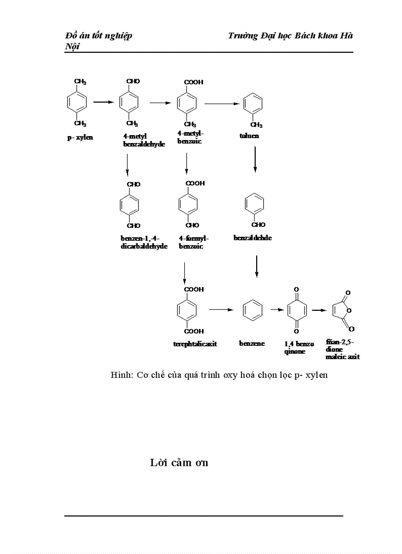 image for page nghiên cứu xúc tác VAPO cho phản ứng oxy hoá chọn lọc p xylen thành axit terrephtalic
