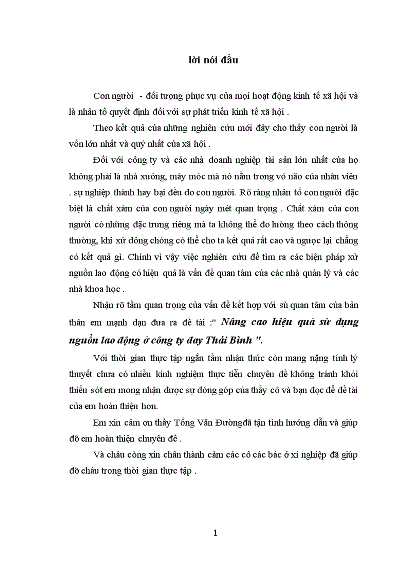 Nâng cao hiệu quả sử dụng nguồn lao động ở công ty đay Thái Bình 1