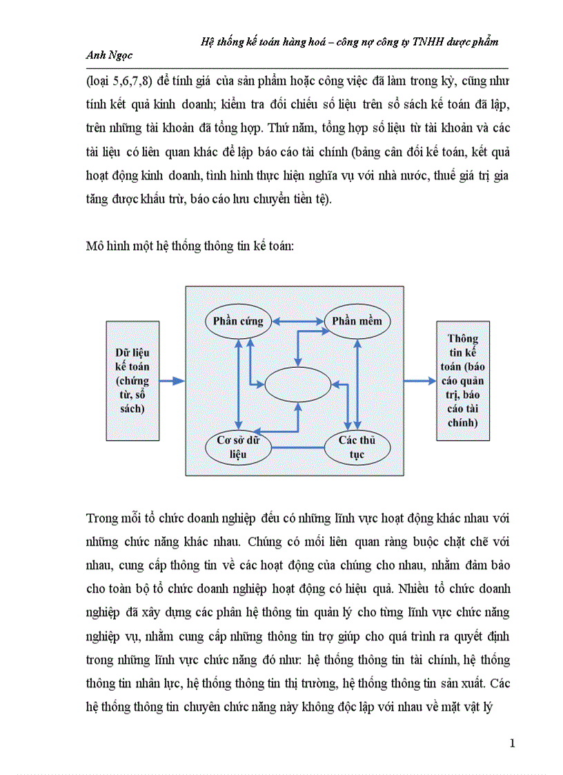 image for page Hệ thống kế toán hàng hoá cônng nợ ng ty TNHH dược phẩm Anh Ngọc