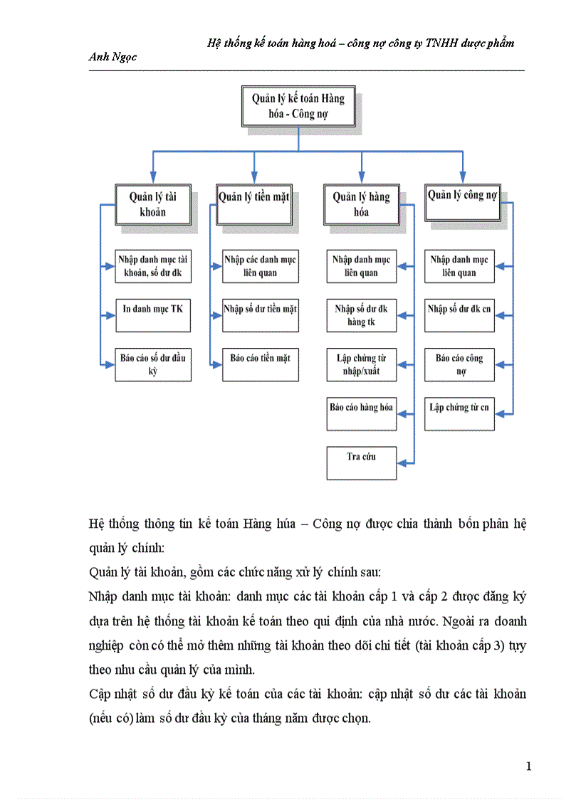 image for page Hệ thống kế toán hàng hoá cônng nợ ng ty TNHH dược phẩm Anh Ngọc