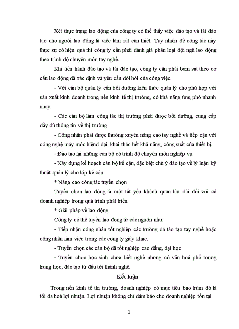 image for page Hiệu quả kinh doanh ở Công ty Giầy Thăng Long thực trạng và giải pháp 1