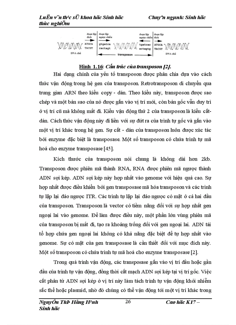 image for page Thử nghiệm chuyển gen GFP trên gà Gallus Gallus Domesticus sử dụng vector pT2 BH CVpf SB11 bằng phương pháp chuyển gen qua tinh trùng và vi tiêm vào phôi gà 0 giờ ấp