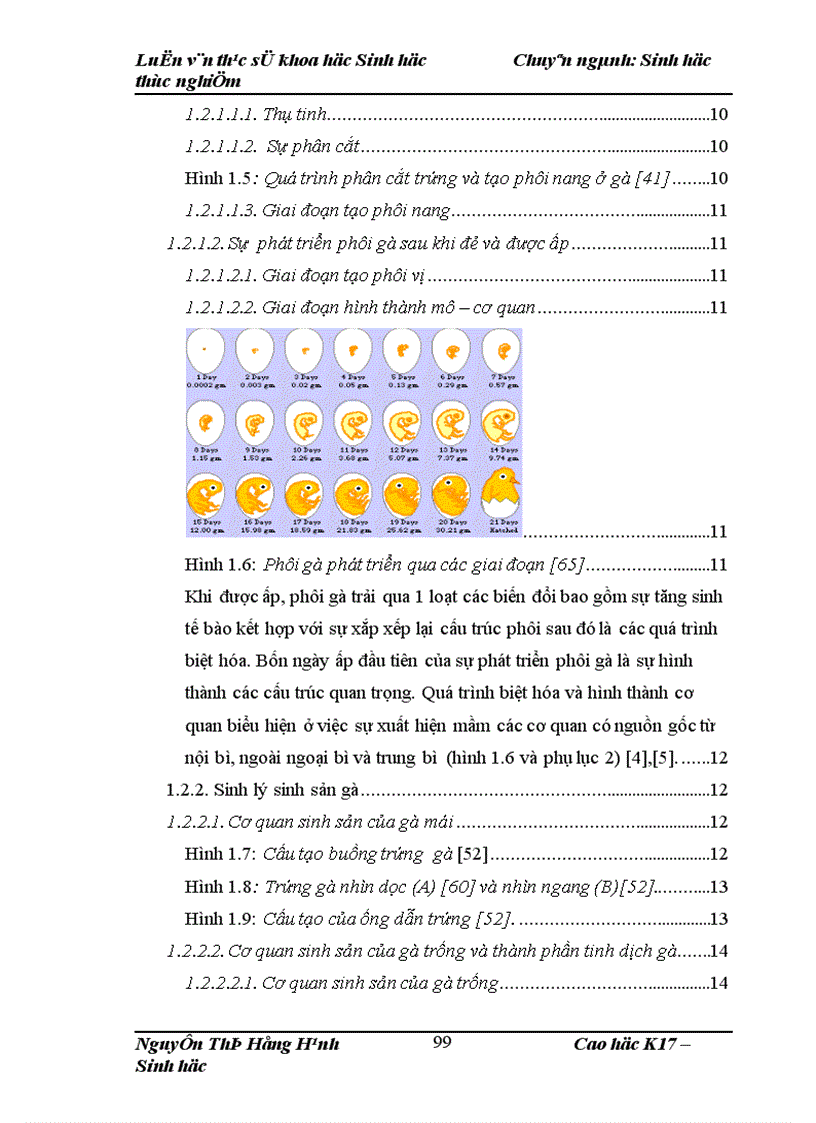 image for page Thử nghiệm chuyển gen GFP trên gà Gallus Gallus Domesticus sử dụng vector pT2 BH CVpf SB11 bằng phương pháp chuyển gen qua tinh trùng và vi tiêm vào phôi gà 0 giờ ấp