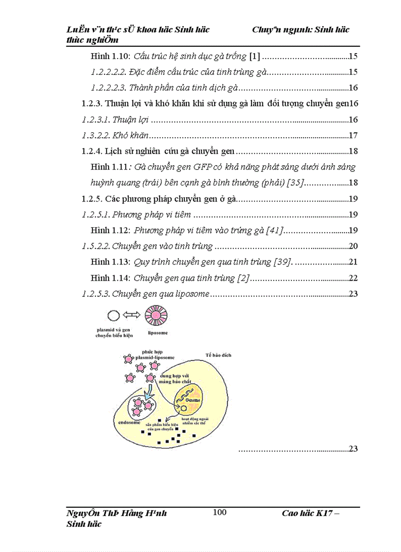 image for page Thử nghiệm chuyển gen GFP trên gà Gallus Gallus Domesticus sử dụng vector pT2 BH CVpf SB11 bằng phương pháp chuyển gen qua tinh trùng và vi tiêm vào phôi gà 0 giờ ấp