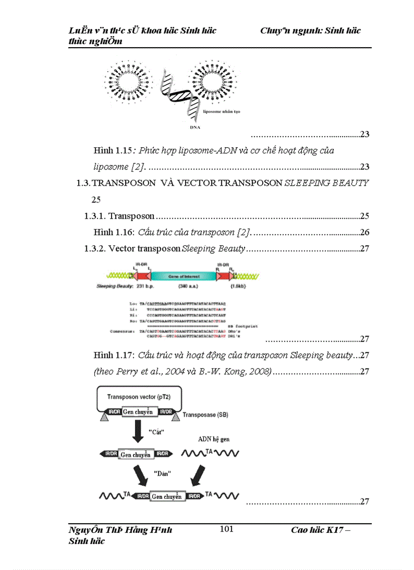 image for page Thử nghiệm chuyển gen GFP trên gà Gallus Gallus Domesticus sử dụng vector pT2 BH CVpf SB11 bằng phương pháp chuyển gen qua tinh trùng và vi tiêm vào phôi gà 0 giờ ấp