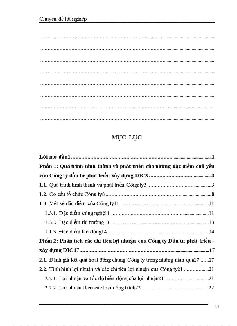 image for page Phân tích các chỉ tiêu lợi nhuận của Công ty đầu tư phát triển xây dựng DIC 1