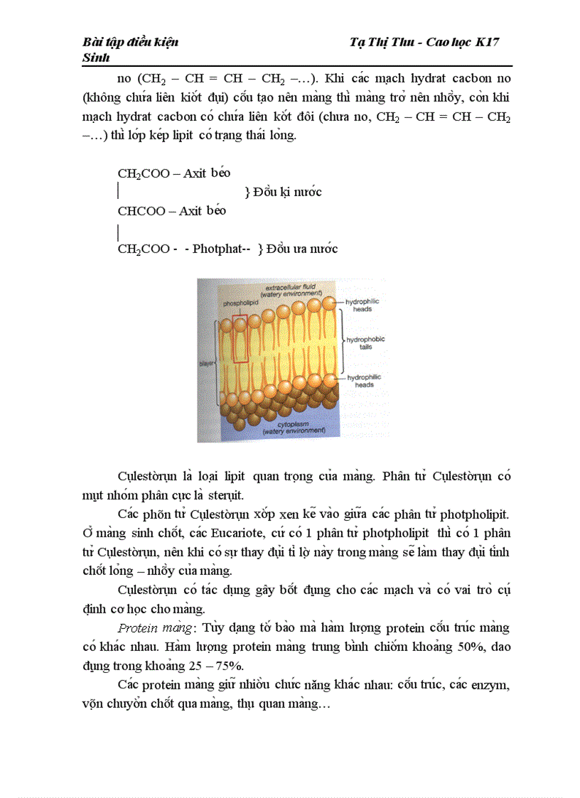image for page Ma ng nô i ba o va qua tri nh tô ng hơ p ca c đa i phân tư