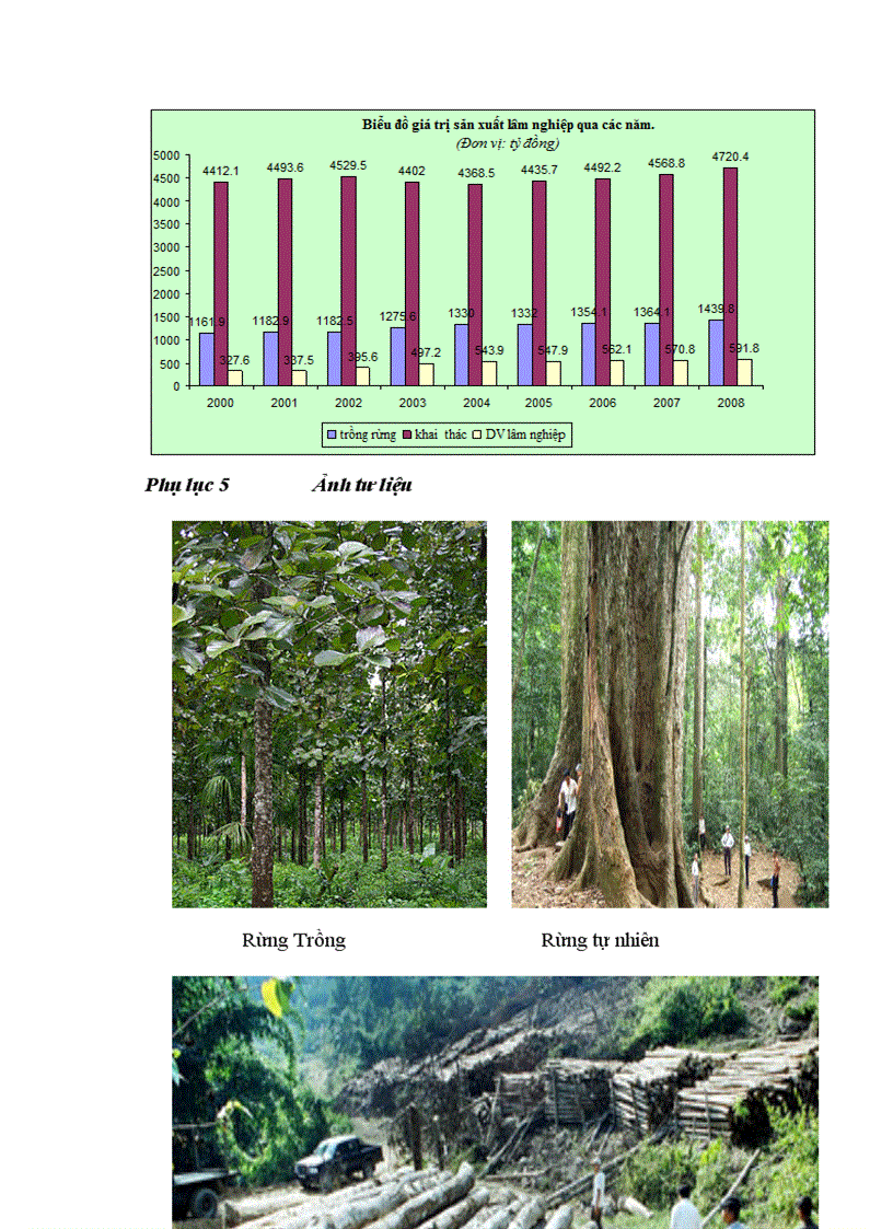 image for page Địa lí Lâm nghiệp Việt Nam