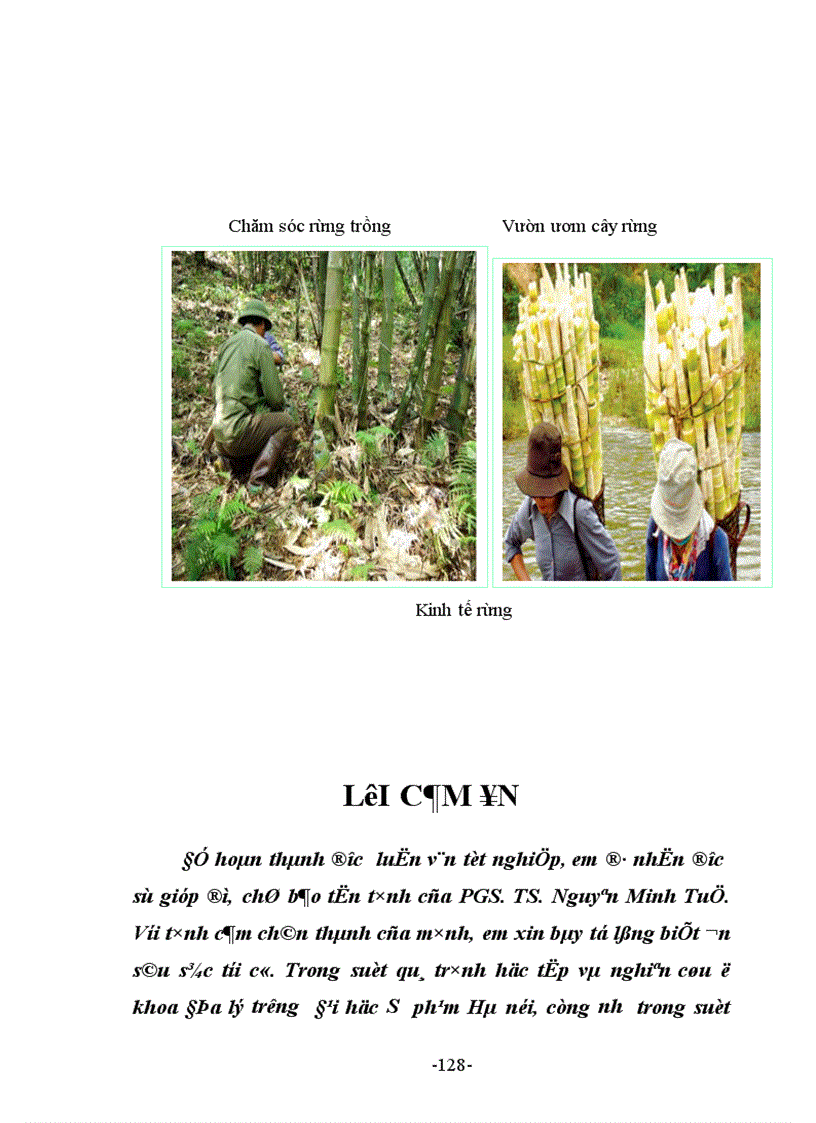 image for page Địa lí Lâm nghiệp Việt Nam