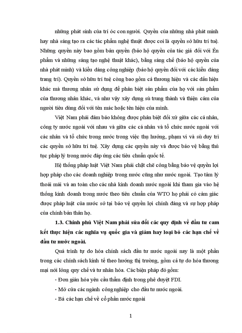 image for page WTO và những vấn đề Việt Nam cần giải quyết để trở thành thành viên của WTO 1