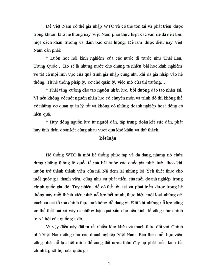 image for page WTO và những vấn đề Việt Nam cần giải quyết để trở thành thành viên của WTO 1