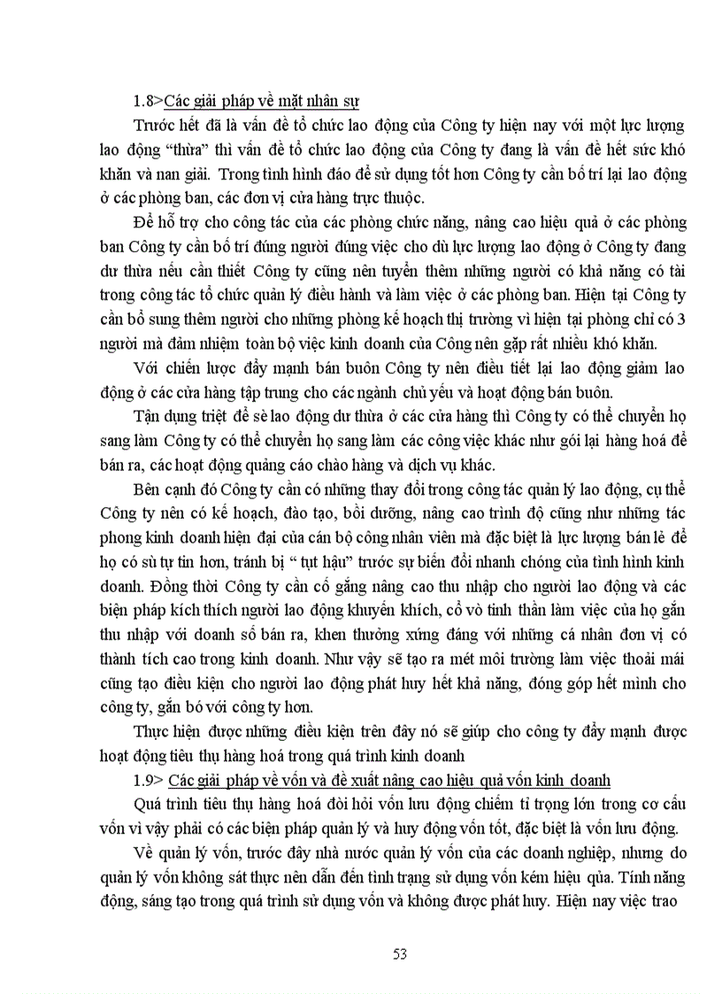 image for page Đẩy mạnh tiêu thụ hàng hoá tại Công ty thương mại tổng hợp tỉnh Nam Định 1