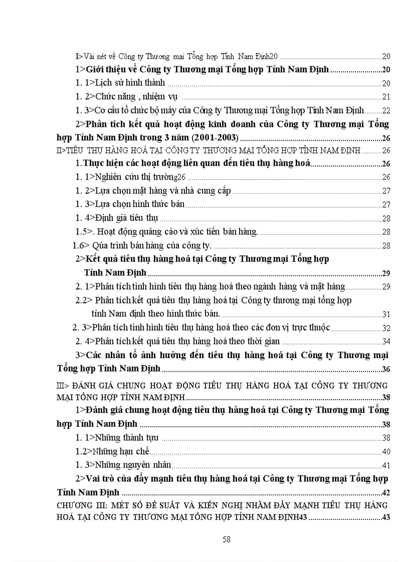 image for page Đẩy mạnh tiêu thụ hàng hoá tại Công ty thương mại tổng hợp tỉnh Nam Định 1