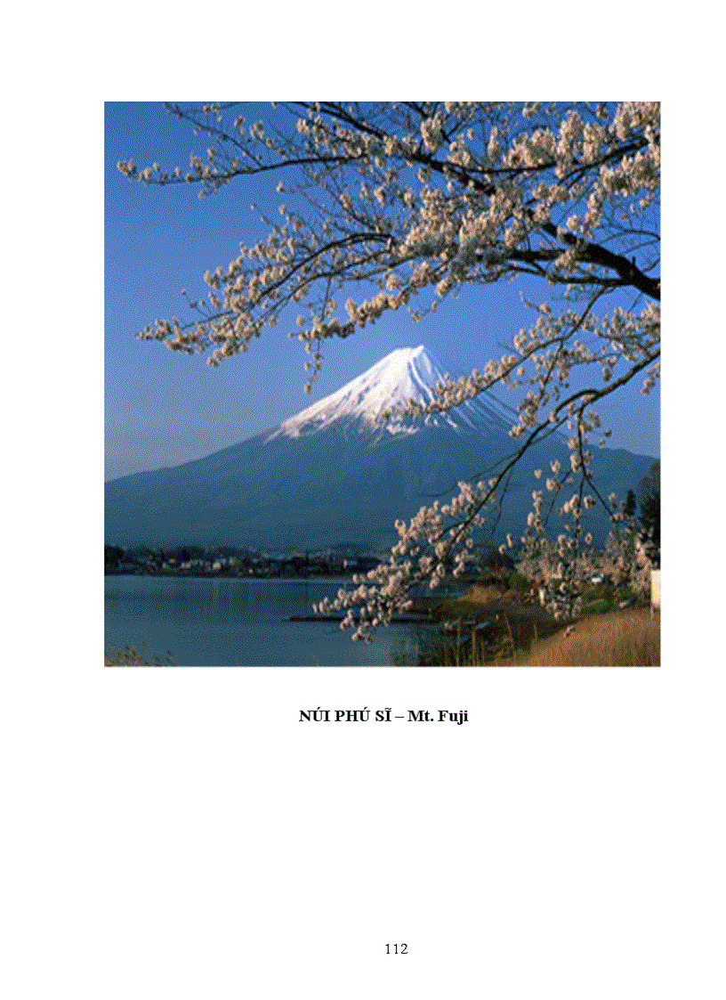 image for page sự phát triển của khoa học kĩ thuật như một biểu hiện nguyên nhân thúc đẩy sự phát triển kinh tế Nhật Bản qua các thời kỳ