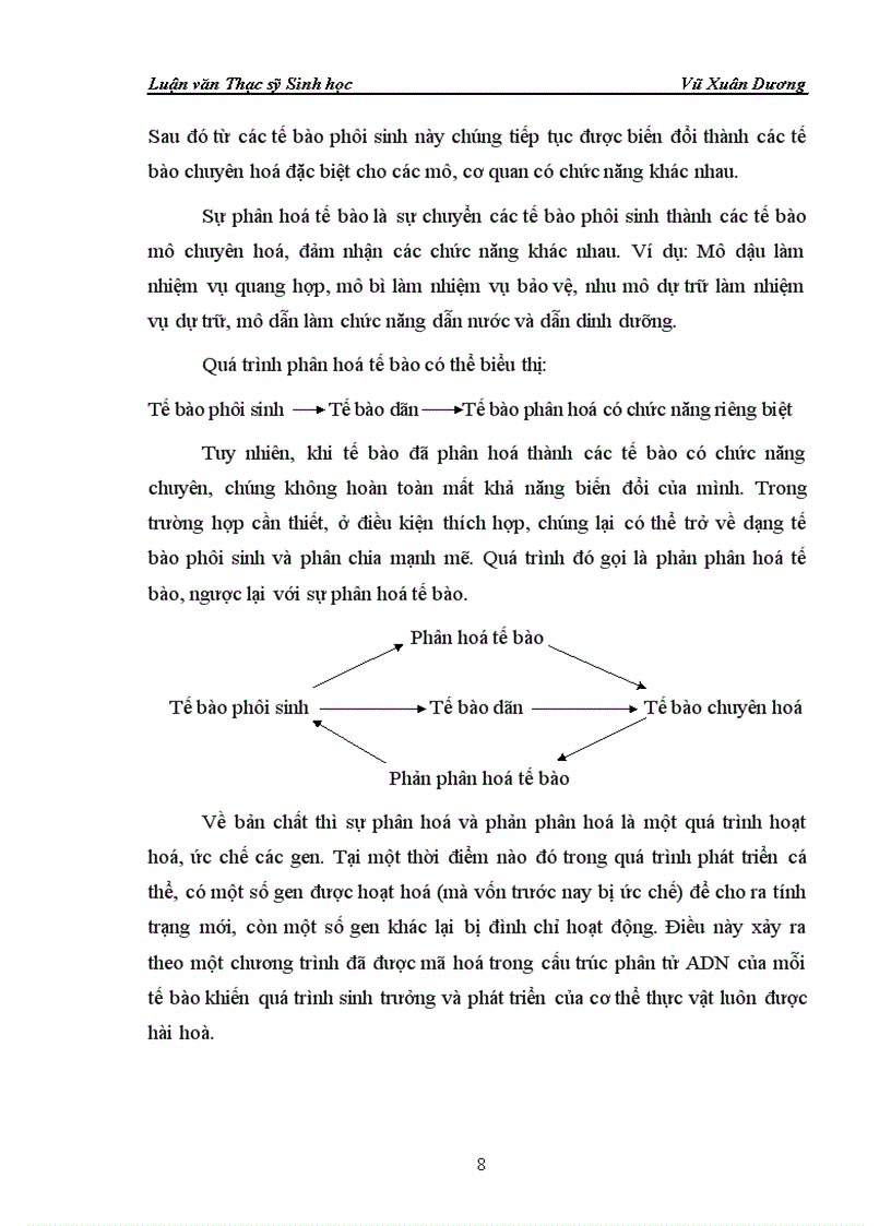 image for page Nghiên cứu ảnh hưởng của liều chiếu xạ tia gamma nguồn Co60 vào giai đoạn callus và giai đoạn hạt nảy mầm của một số dòng lúa có triển vọng