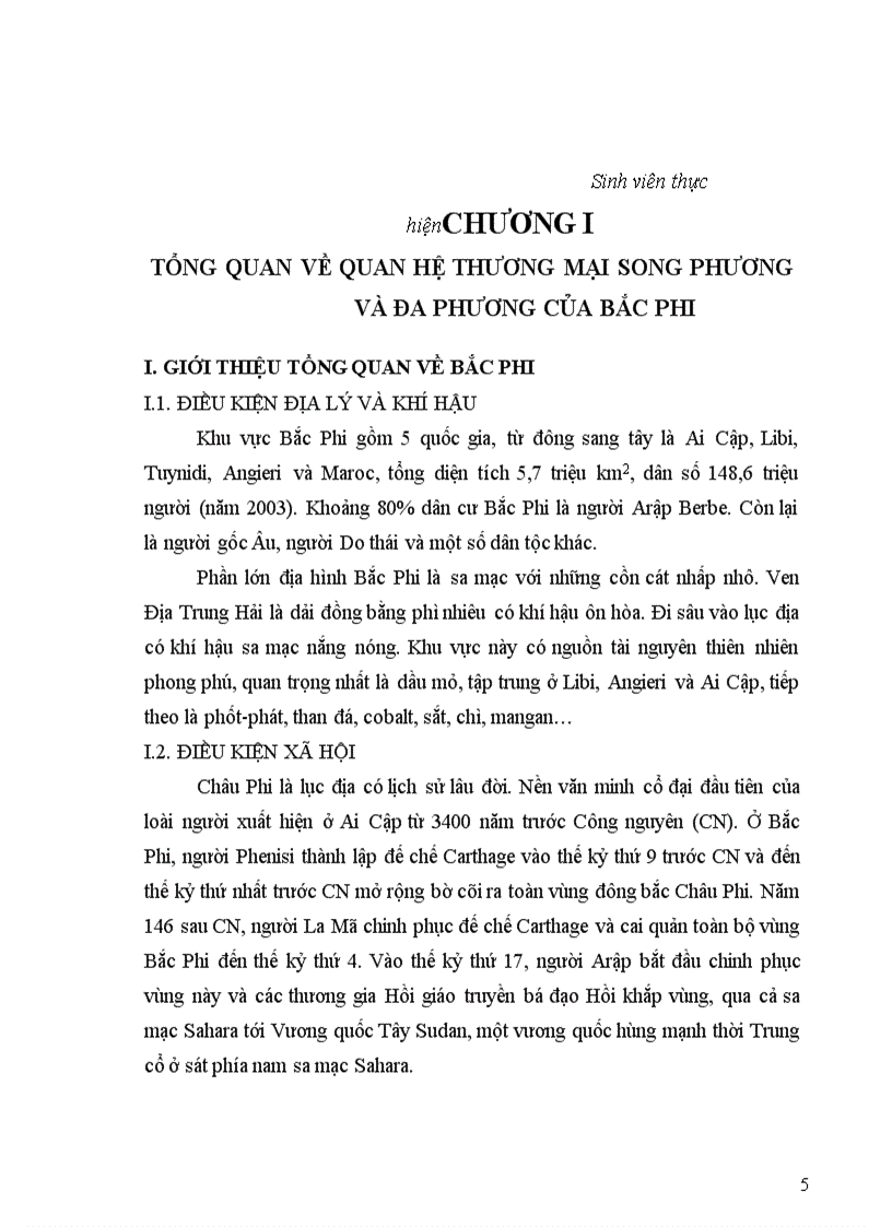 image for page Xuất khẩu của Việt Nam sang các nước Bắc Phi thực trạng và giải pháp 1