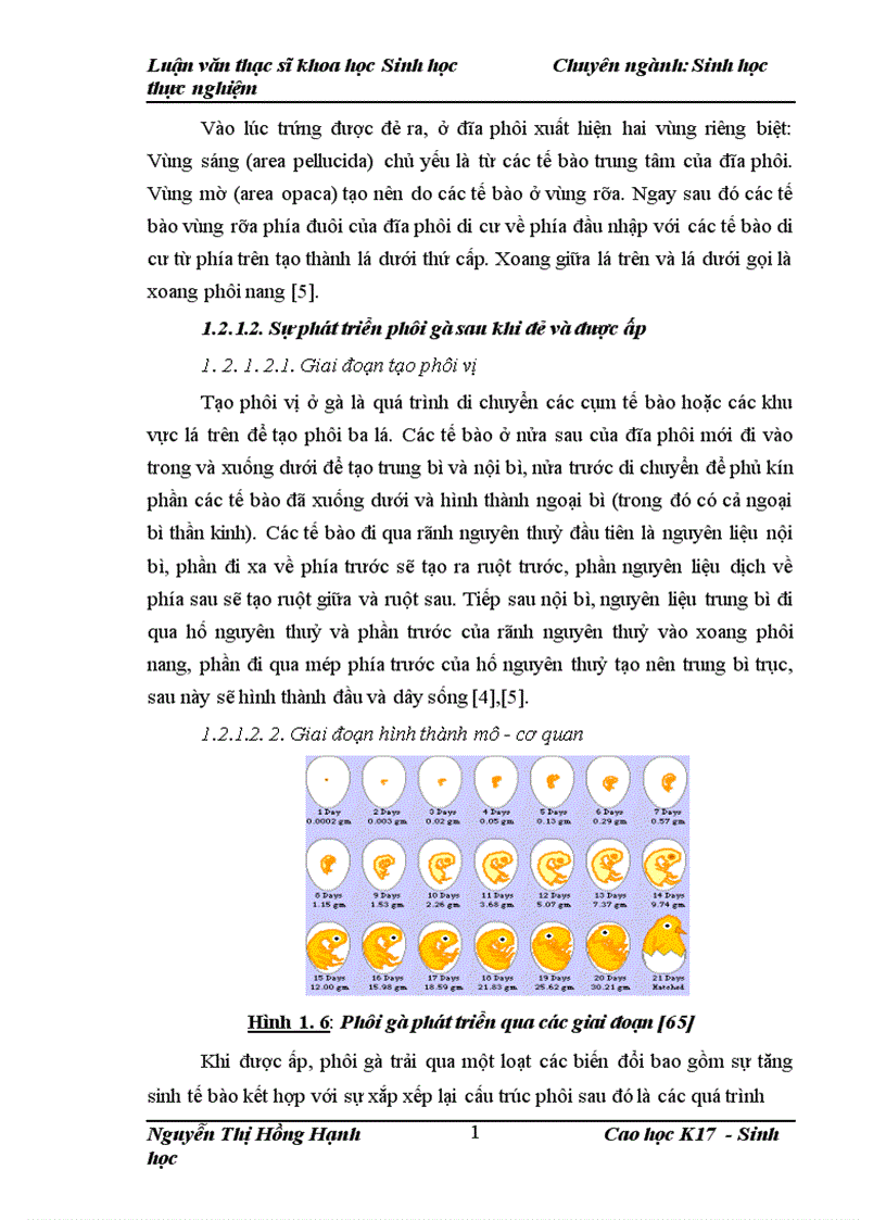image for page Thử nghiệm chuyển gen GFP trên gà Gallus gallus domesticus sử dụng vector pT2 BH CVpf SB11 bằng phương pháp chuyển gen qua tinh trùng và vi tiêm vào phôi gà 0 giờ ấp
