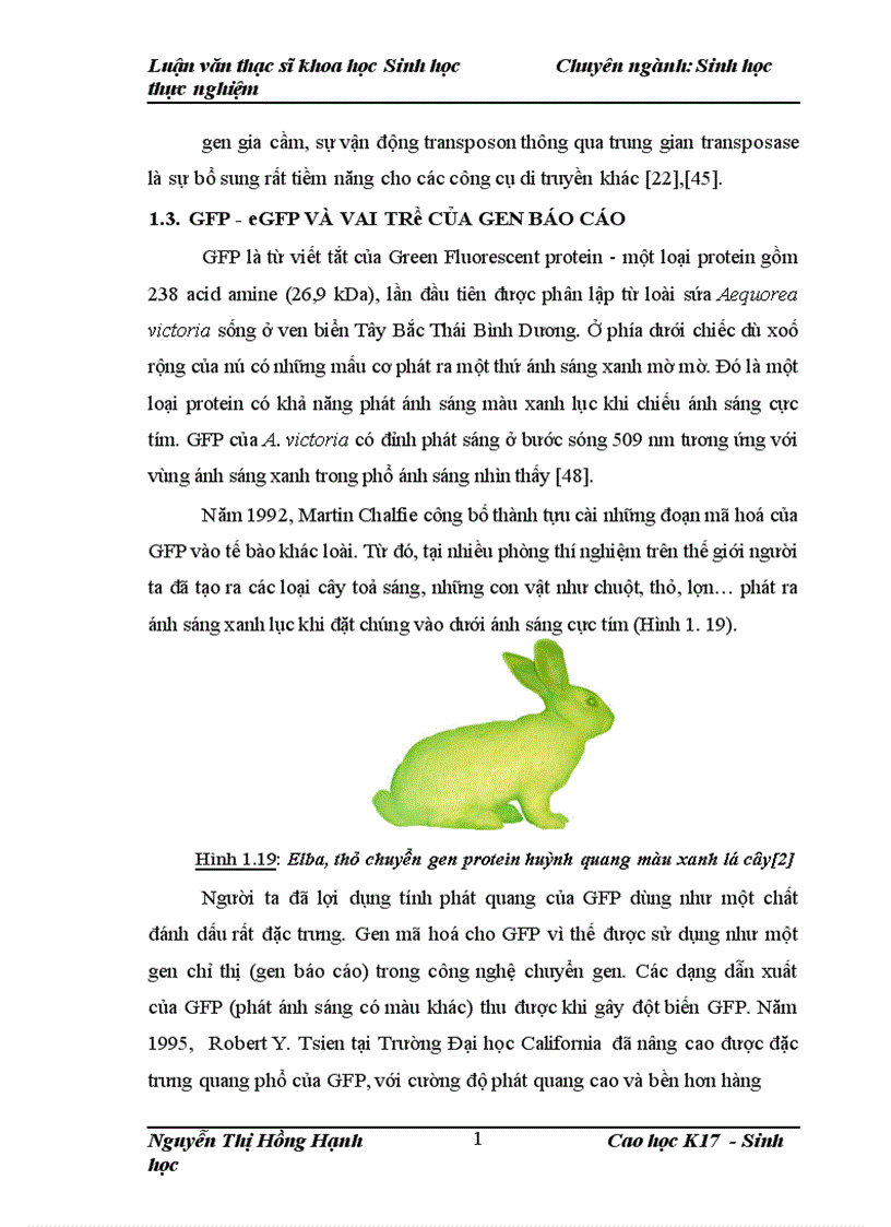 image for page Thử nghiệm chuyển gen GFP trên gà Gallus gallus domesticus sử dụng vector pT2 BH CVpf SB11 bằng phương pháp chuyển gen qua tinh trùng và vi tiêm vào phôi gà 0 giờ ấp