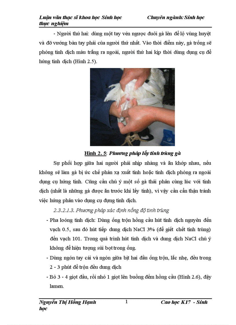 image for page Thử nghiệm chuyển gen GFP trên gà Gallus gallus domesticus sử dụng vector pT2 BH CVpf SB11 bằng phương pháp chuyển gen qua tinh trùng và vi tiêm vào phôi gà 0 giờ ấp