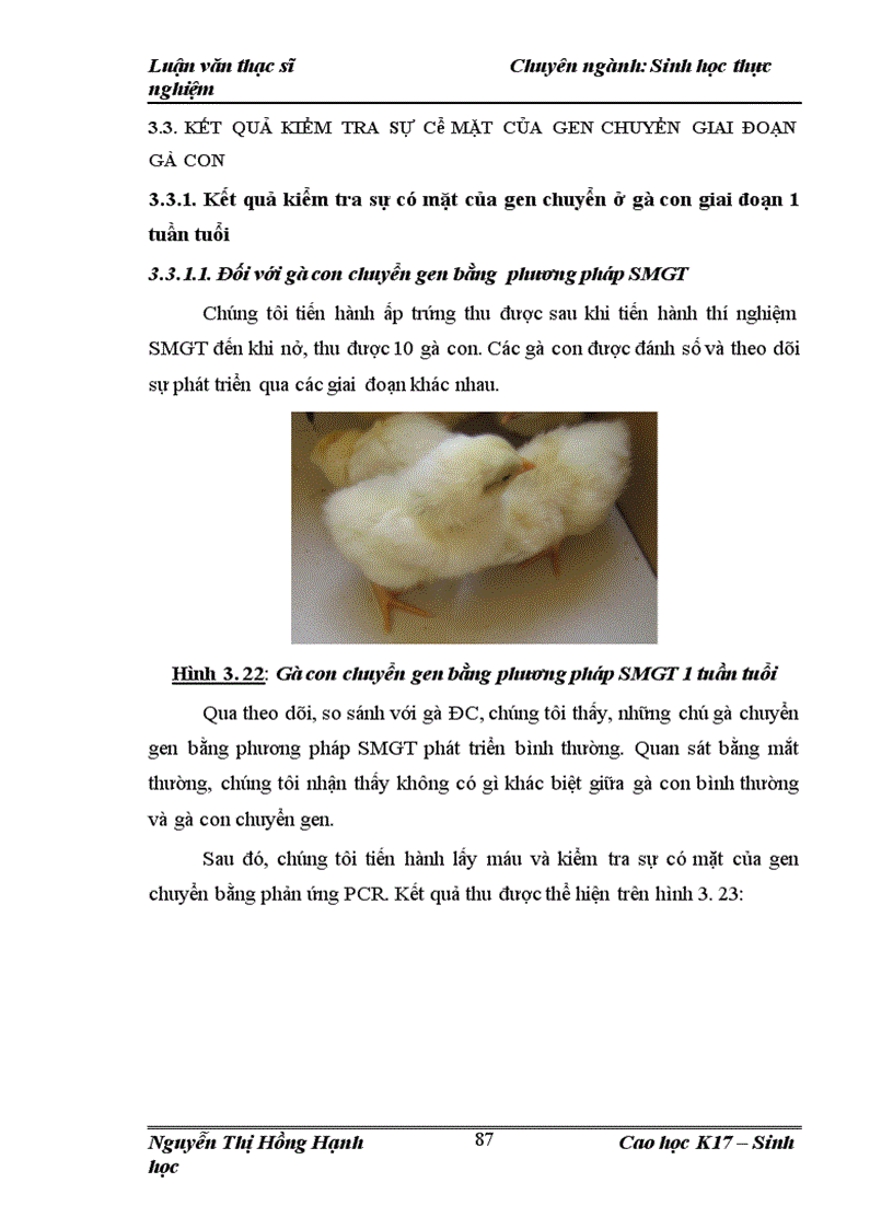 image for page Thử nghiệm chuyển gen GFP trên gà Gallus gallus domesticus sử dụng vector pT2 BH CVpf SB11 bằng phương pháp chuyển gen qua tinh trùng và vi tiêm vào phôi gà 0 giờ ấp