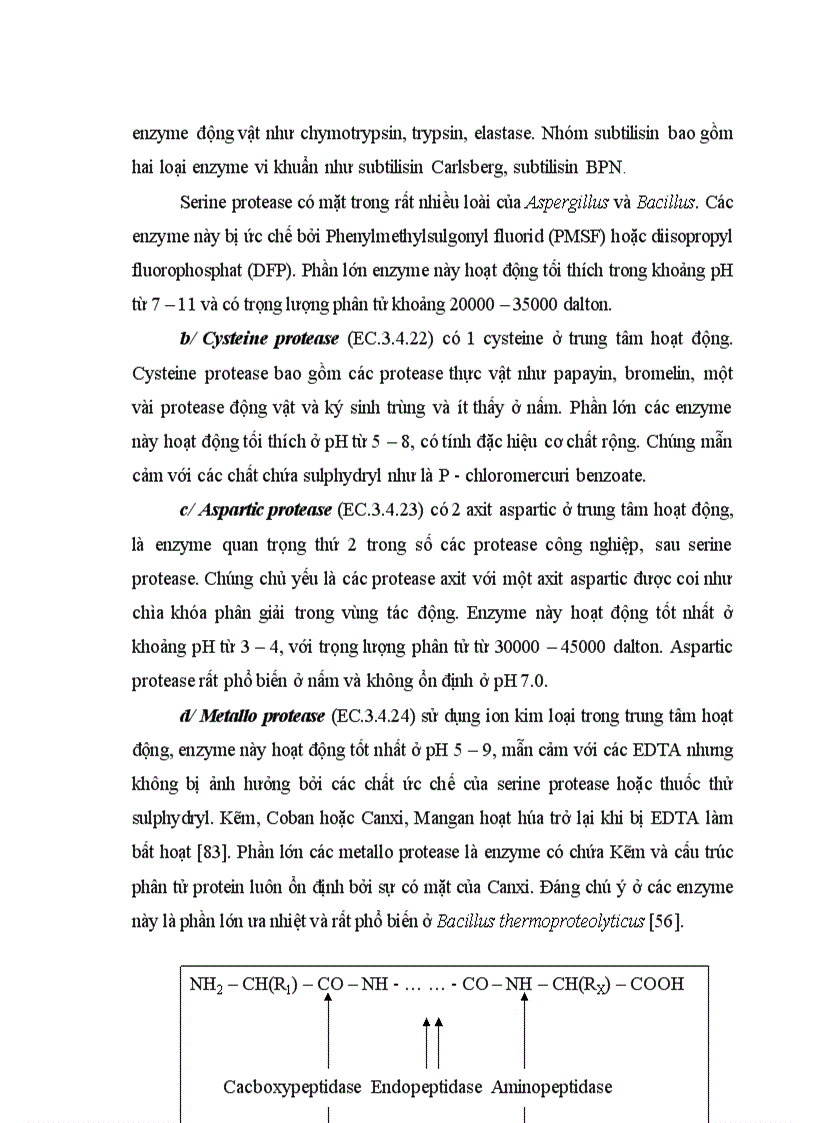 image for page Tuyển chọn chủng Bacillus từ rừng ngập mặn sinh mạnh protease kiềm và bước đầu định hướng ứng dụng