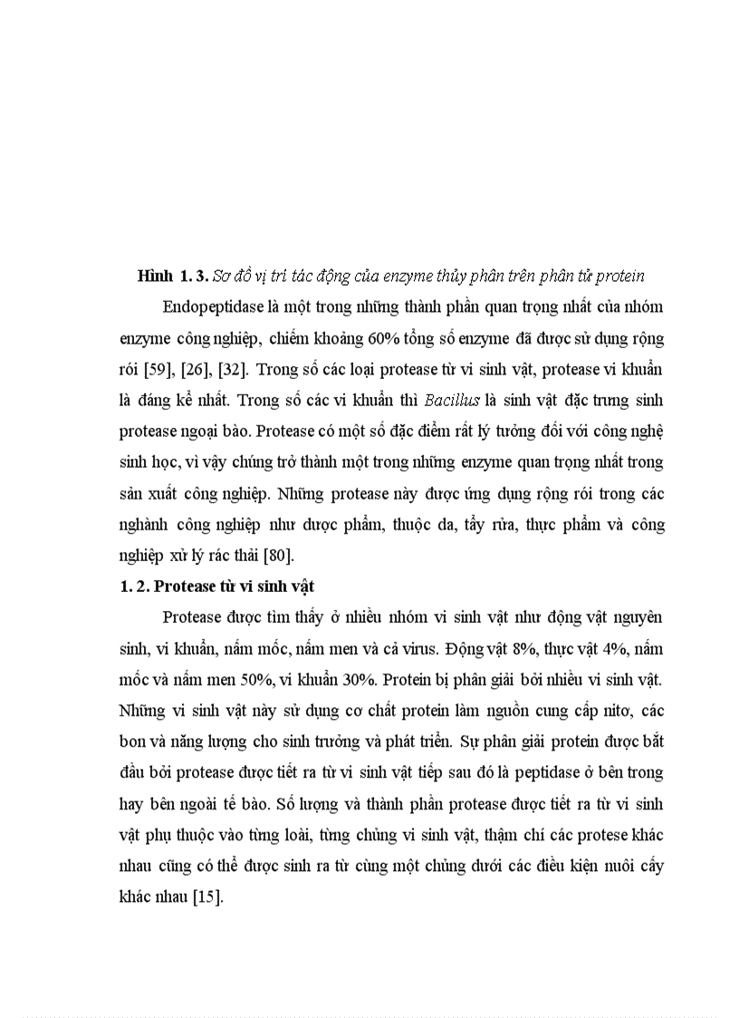 image for page Tuyển chọn chủng Bacillus từ rừng ngập mặn sinh mạnh protease kiềm và bước đầu định hướng ứng dụng