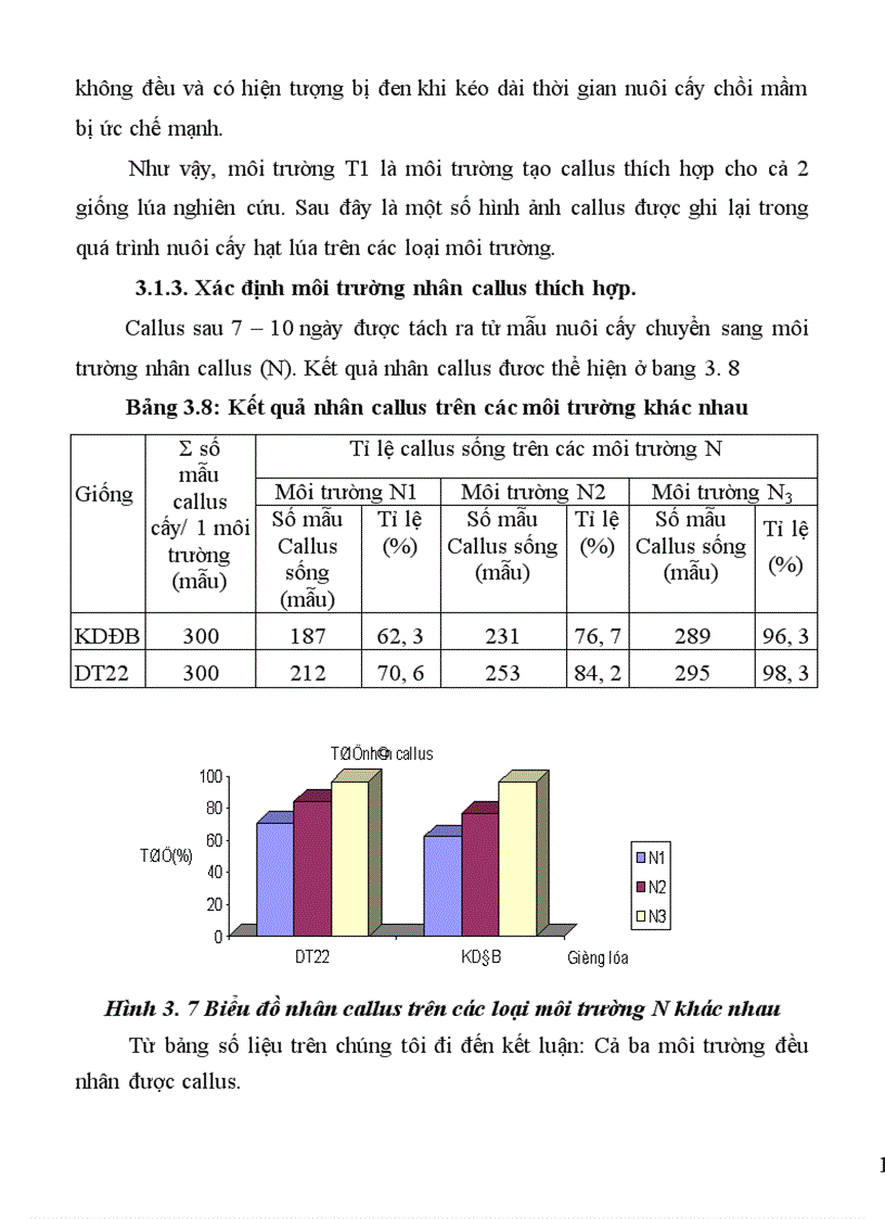 image for page Nghiên cứu tạo cây lúa chuyển gen Chitinase kháng bệnh đạo ôn nhờ vi khuẩn Agrobacterium tumefaciens