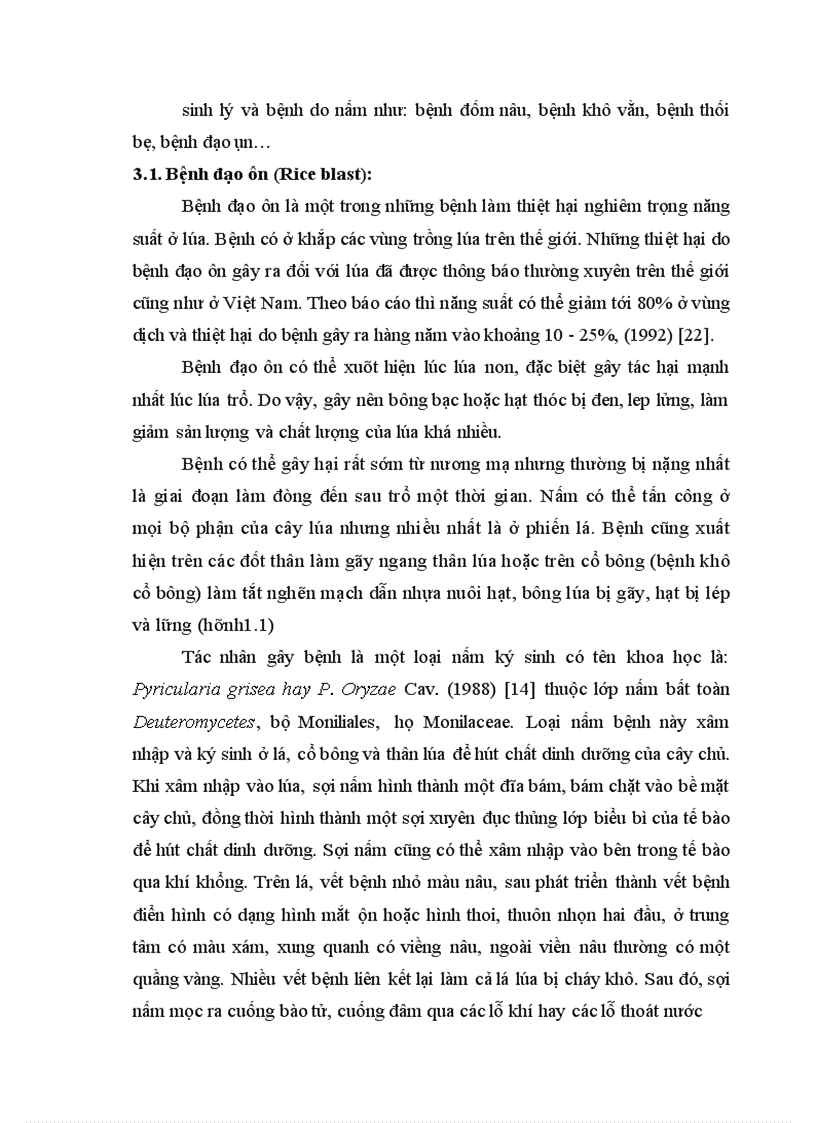image for page Nghiên cứu tạo cây lúa chuyển gen Chitinase kháng bệnh đạo ôn nhờ vi khuẩn Agrobacterium tumefaciens