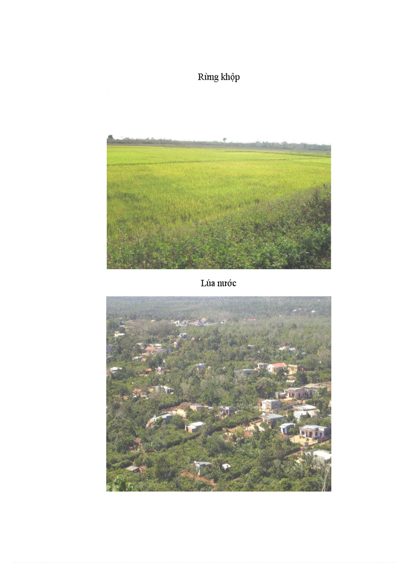 image for page Sử dụng tư liệu viễn thám cho mục đích thành lập bản đồ cảnh quan tỉnh Đắk Lắk