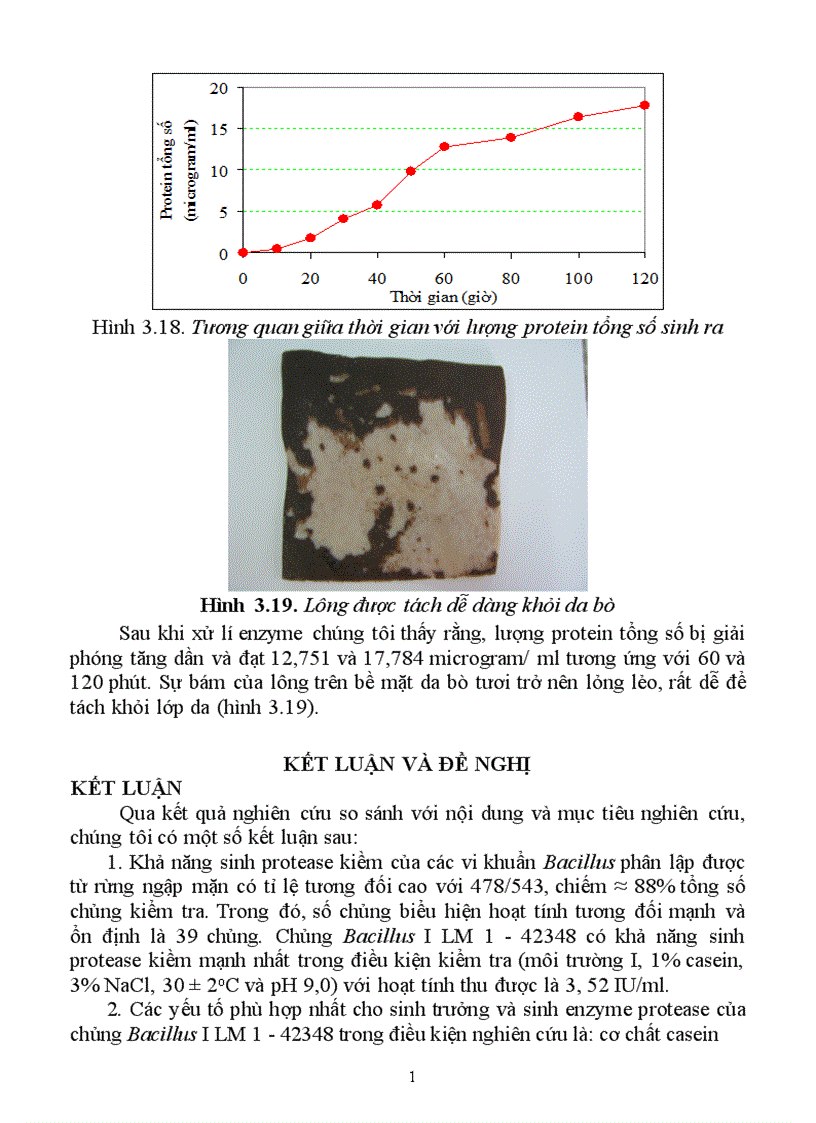 image for page Tuyển chọn chủng Bacillus từ rừng ngập mặn sinh mạnh protease kiềm và bước đầu định hướng ứng dụng 1