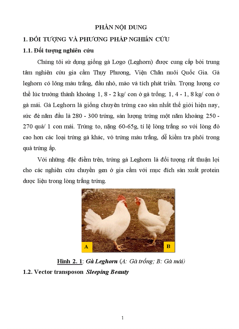 image for page Thử nghiệm chuyển gen GFP trên gà Gallus gallus domesticus sử dụng vector pT2 BH CVpf SB11 bằng phương pháp chuyển gen qua tinh trùng và vi tiêm vào phôi gà 0 giờ ấp 1