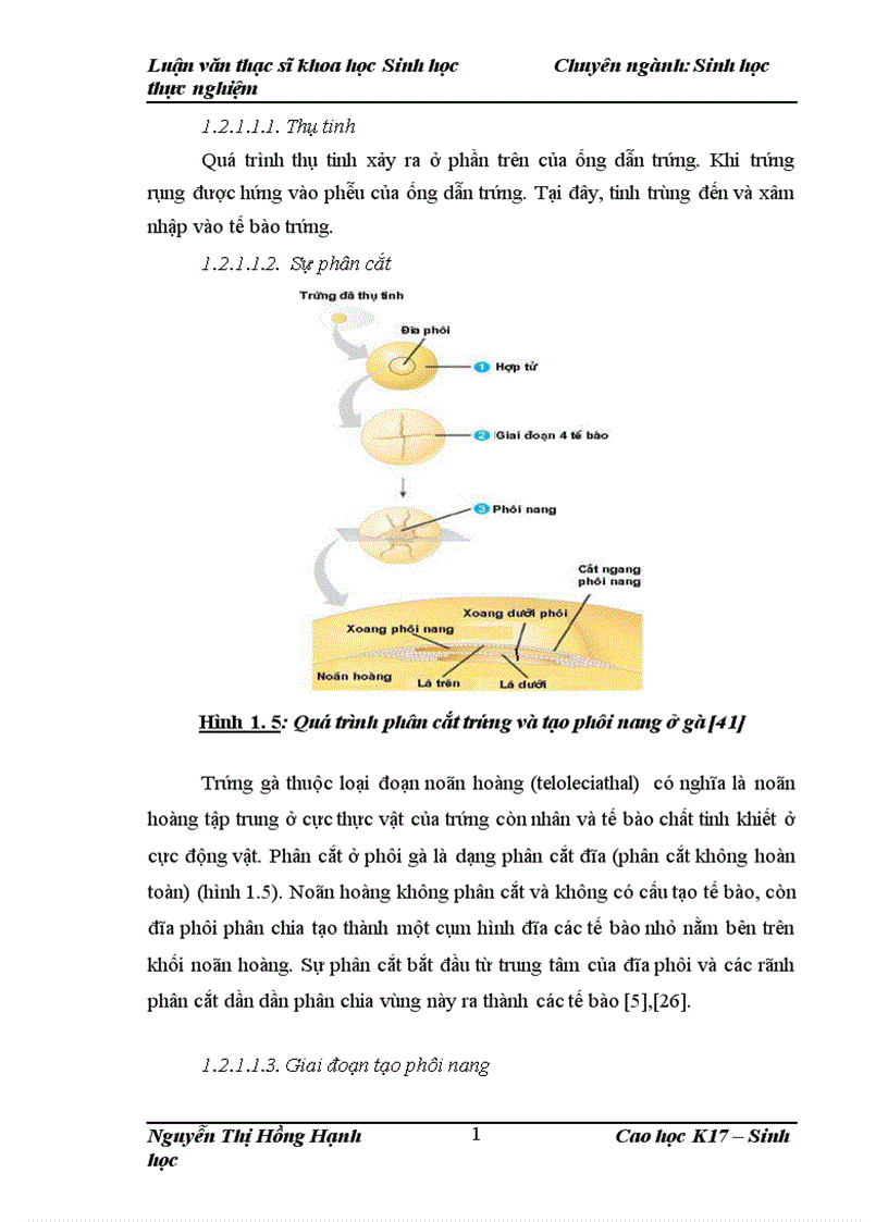 image for page Thử nghiệm chuyển gen GFP trên gà Gallus Gallus Domesticus sử dụng vector pT2 BH CVpf SB11 bằng phương pháp chuyển gen qua tinh trùng và vi tiêm vào phôi gà 0 giờ ấp 1