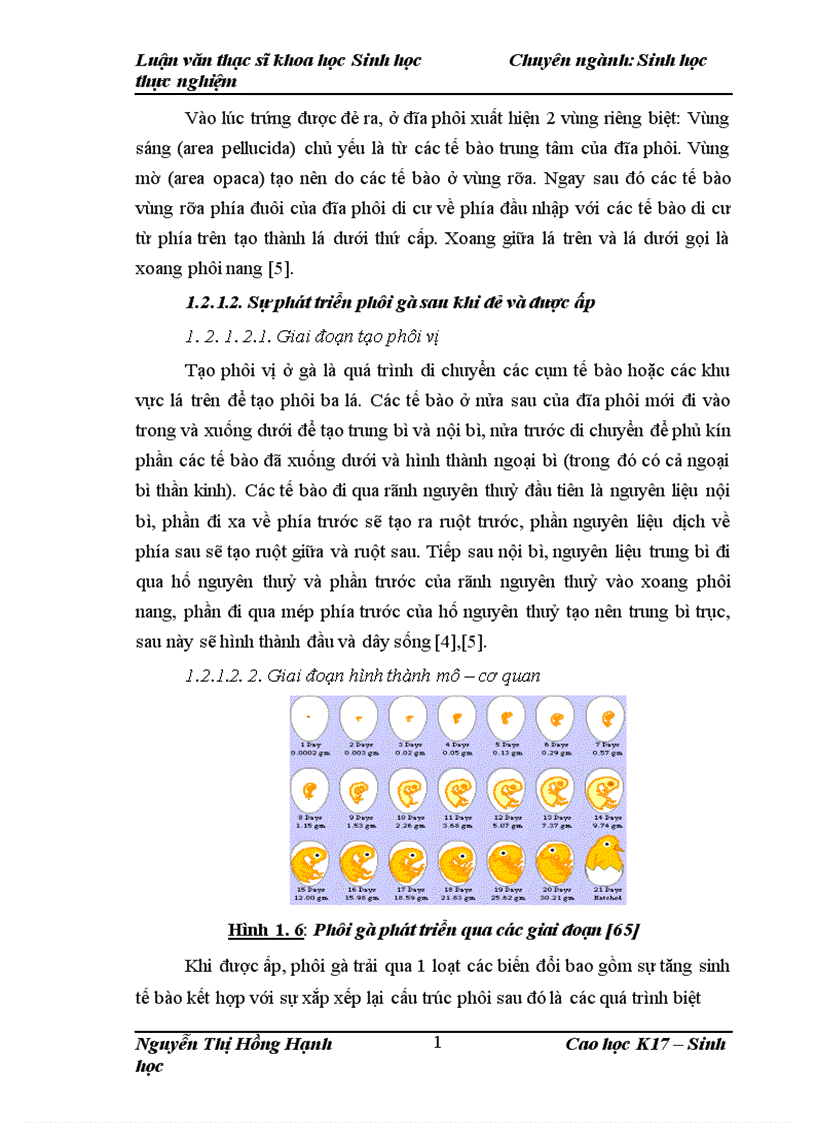 image for page Thử nghiệm chuyển gen GFP trên gà Gallus Gallus Domesticus sử dụng vector pT2 BH CVpf SB11 bằng phương pháp chuyển gen qua tinh trùng và vi tiêm vào phôi gà 0 giờ ấp 1