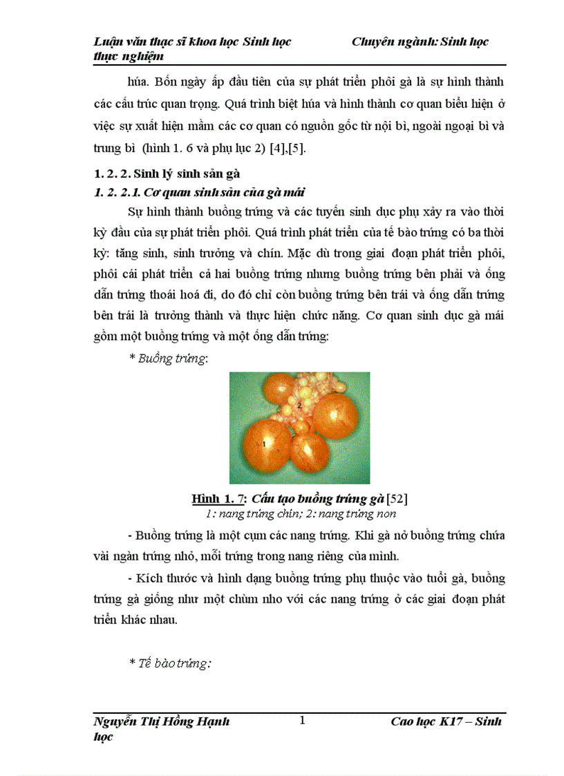 image for page Thử nghiệm chuyển gen GFP trên gà Gallus Gallus Domesticus sử dụng vector pT2 BH CVpf SB11 bằng phương pháp chuyển gen qua tinh trùng và vi tiêm vào phôi gà 0 giờ ấp 1